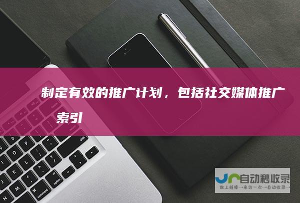 制定有效的推广计划，包括社交媒体推广、搜索引擎营销等。