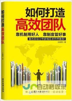 构建高效、可扩展的电商平台开发系统，满足各种规模企业需求